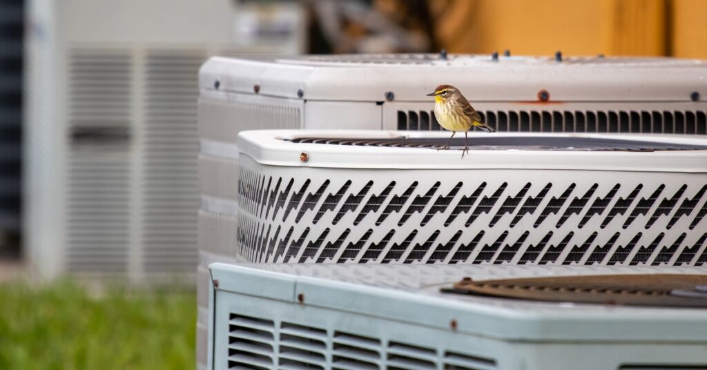 A small brown and yellow bird with black speckles sits on the top of an outdoor HVAC unit that’s between two other units.