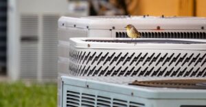 A small brown and yellow bird with black speckles sits on the top of an outdoor HVAC unit that’s between two other units.