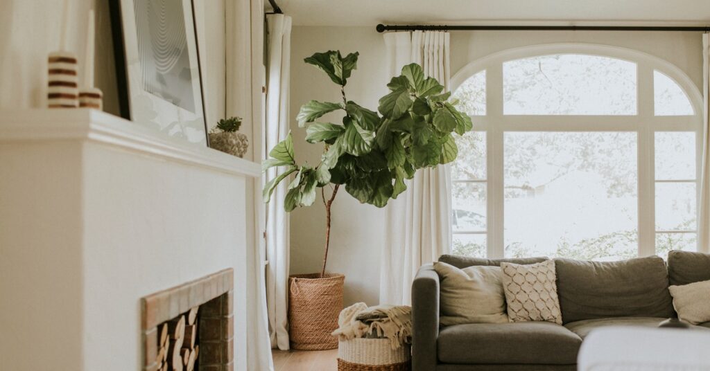 A living room with a couch, throw pillows, and indoor tree; there’s a large window on the back wall of the house.